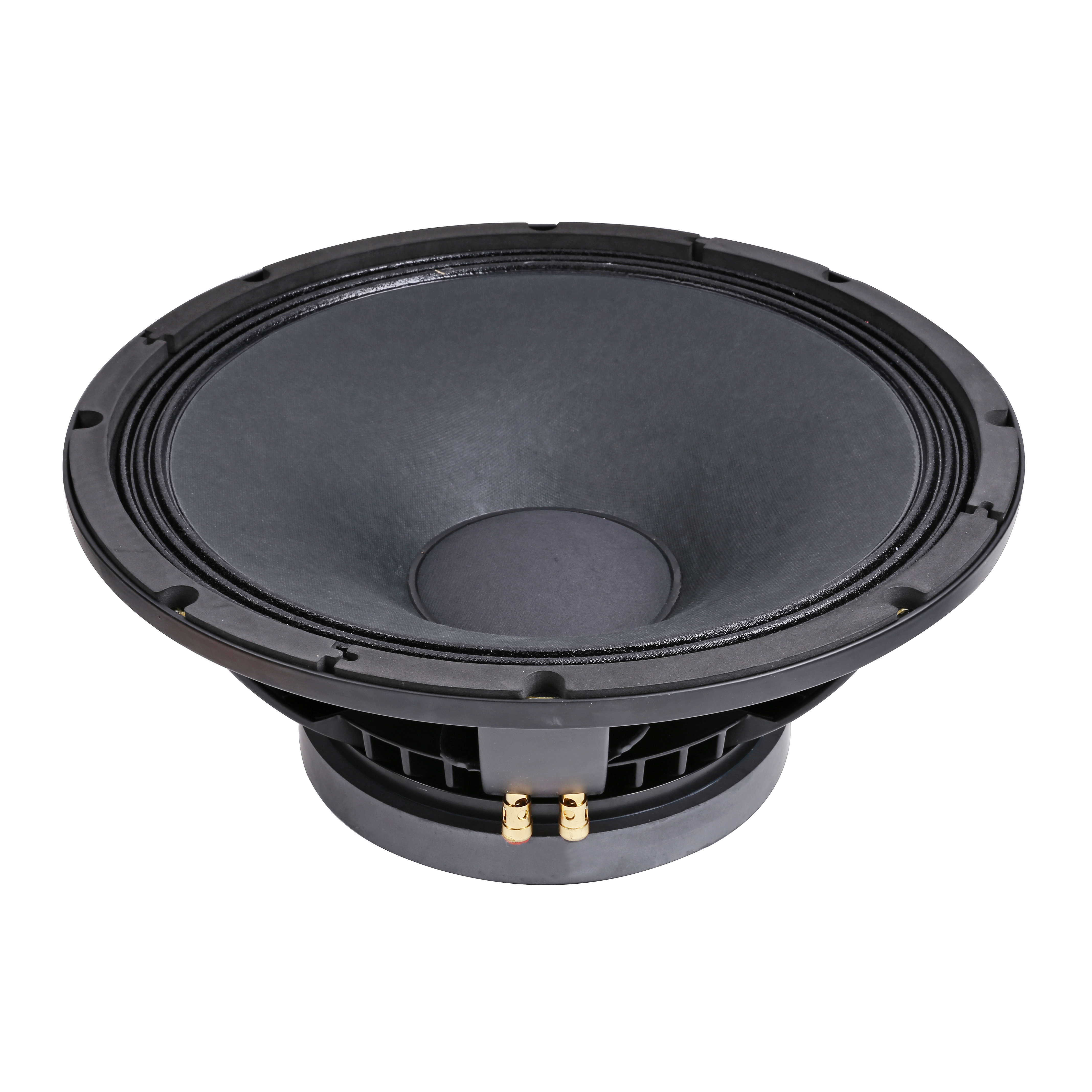 Loa Bass 15inch 15BC&amp;100 - Hàng chính hãng