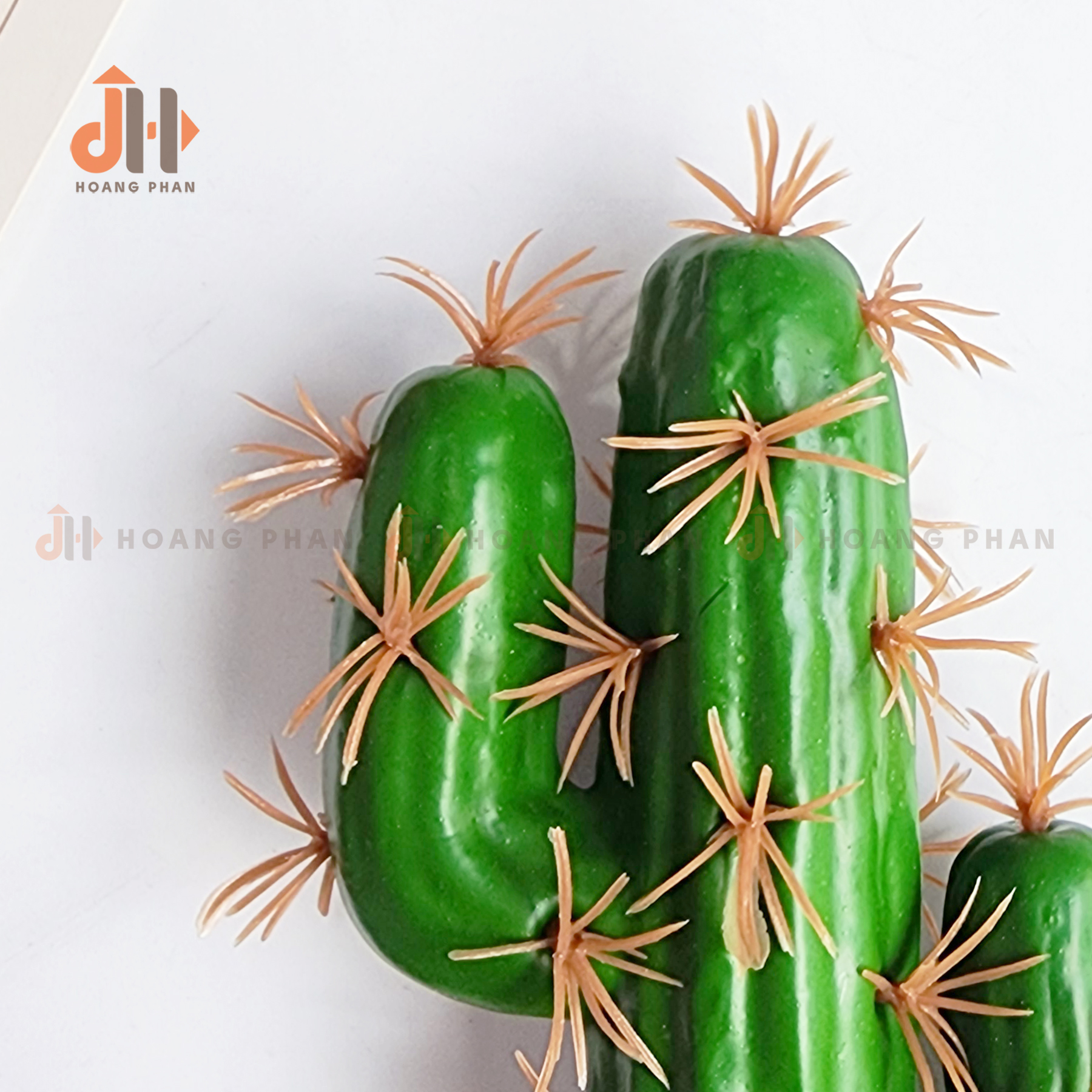 Trụ xương rồng trụ đất nung vĩnh cửu trang trí