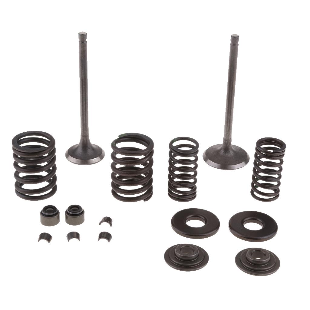 Engine Intake Exhaust Valves Assy GY6 250cc ATV Go Kart Scooter Quad Bike