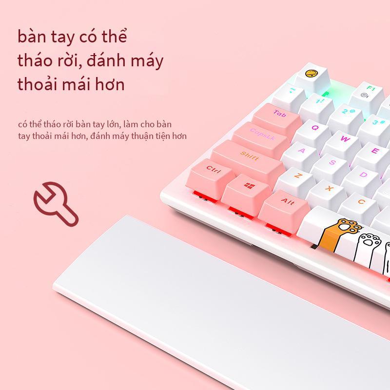 Giá Đặc Biệt Wrangler Đôi Phối Màu Chủ Đề Mèo Dễ Thương Bàn Phím Cơ Laptop Văn Phòng Dễ Thương Hoa Anh Đào Hồng Bàn Phím Cơ