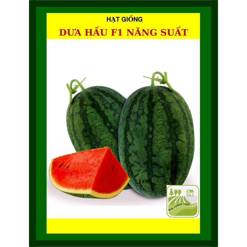 Hạt Giống Dưa Hấu F1 Năng Suất Cao Gói 2gram