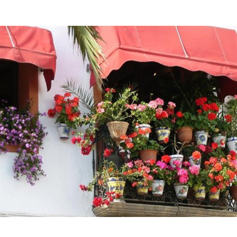 Bộ 2 chậu cây trồng thông minh màu nâu 24 x 17 cm - Hàng Nội Địa Nhật