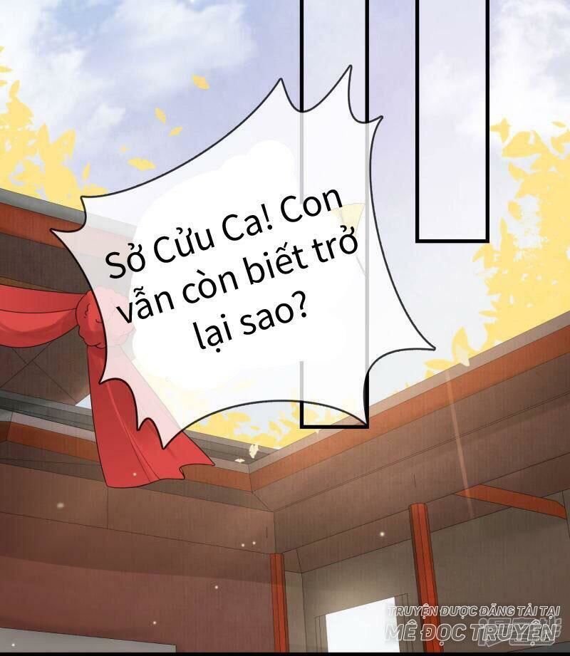 thịnh thế thiên kiêu chapter 14 12