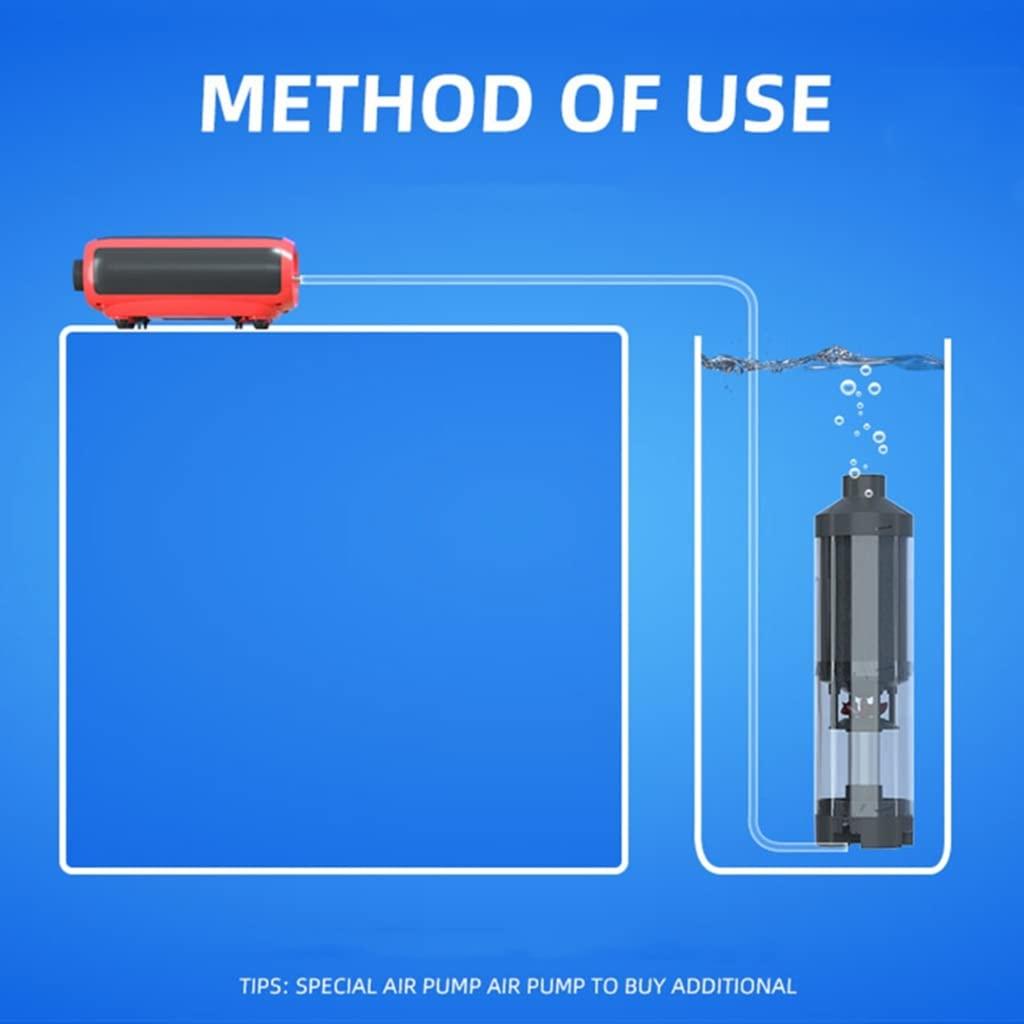 SEPATOR PHÂN PHỐI PHÂN PHỐI BÂY GIỜ, Bộ sưu tập cá, phụ kiện làm sạch hồ cá