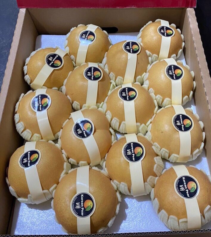 Lê Nâu Hàn Quốc