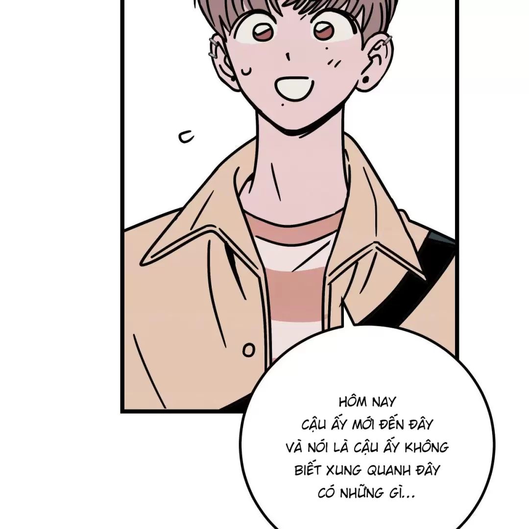 lời tỏ tình từ con số 0 chapter 13 48