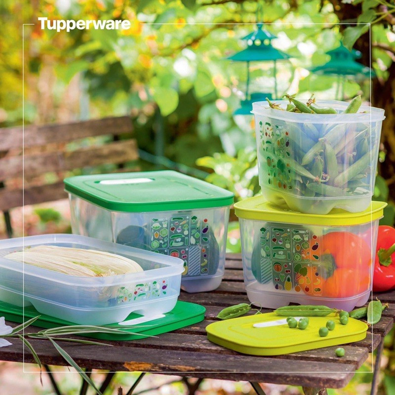 Bộ Trữ Mát Có Nút Hô Hấp Tupperware Vensmart Set 4