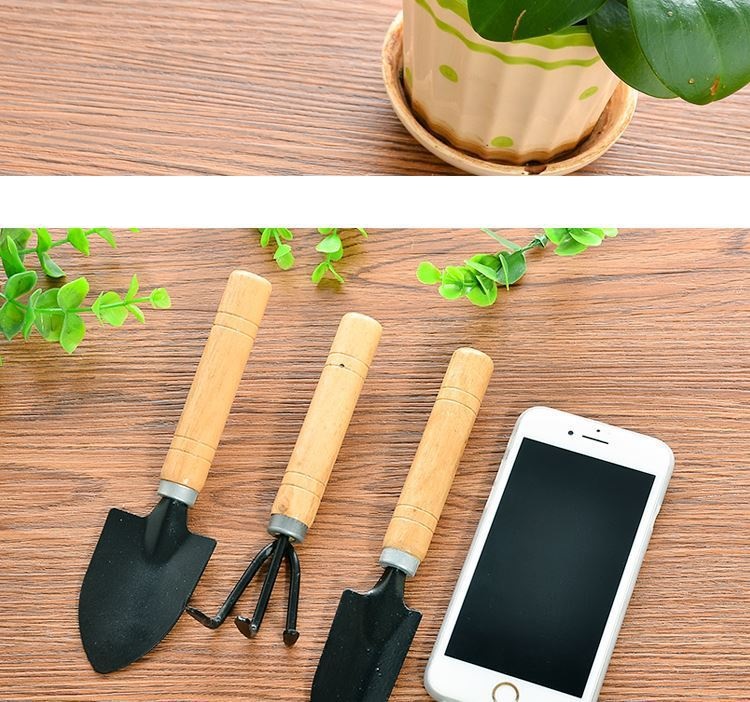Dụng Cụ Làm Vườn Mini Trồng Hoa, Sen Đá, Xương Rồng - Bộ 3 Món Size Trung và Mini, Cán Gỗ Nhỏ Gọn Cho Gia Đình