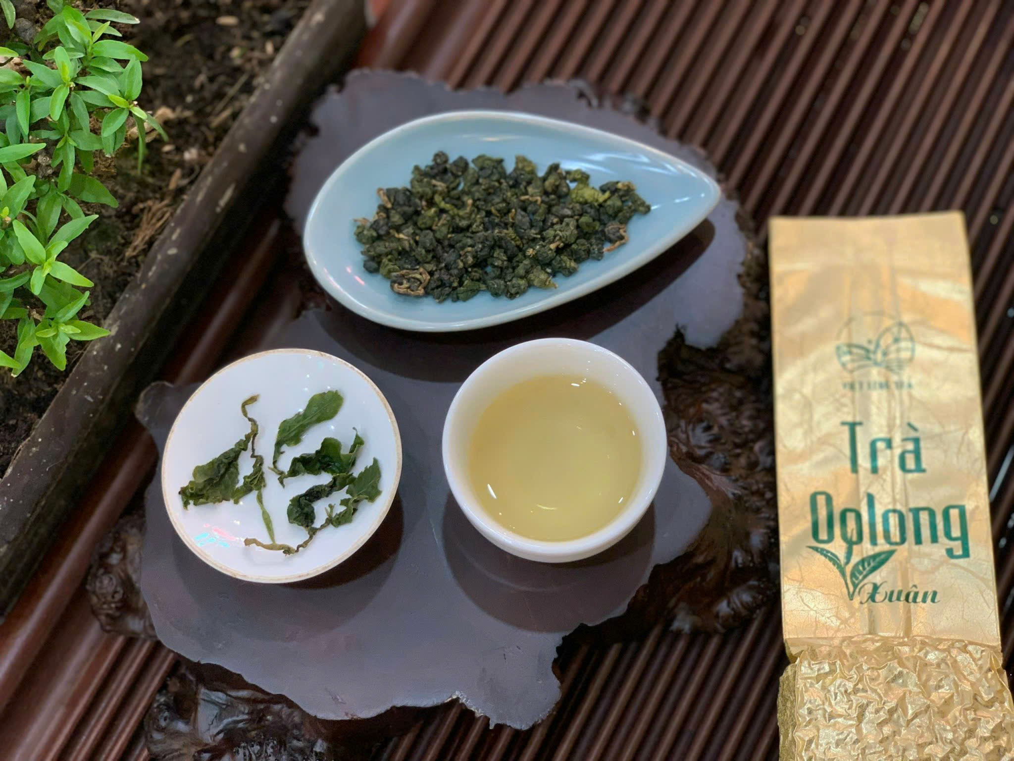 TRÀ OOLONG THUẦN VỤ XUÂN - TRÀ HỖ TRỢ TIÊU HOÁ - ĐẸP DA - ORGANIC OOLONG TEA