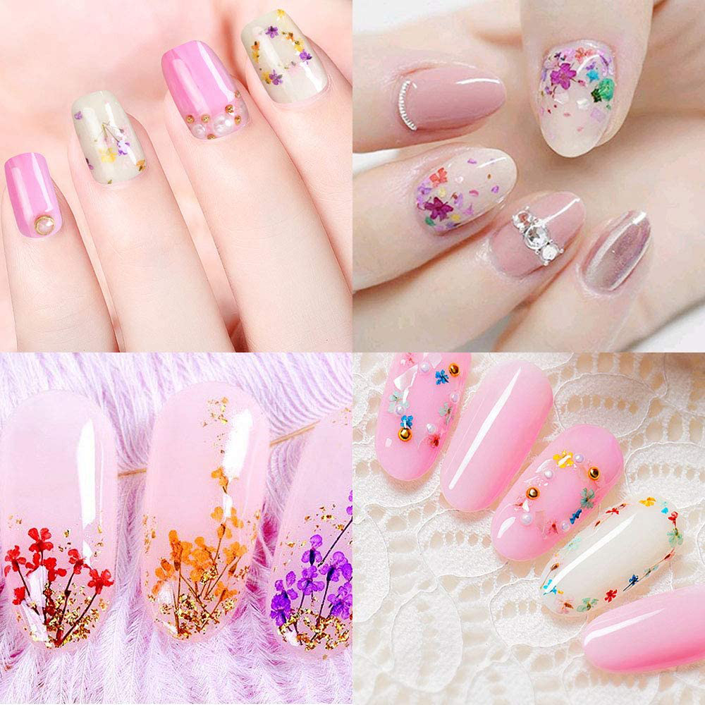 Set Hoa Khô Chùm Trang Trí Nail 12 Màu, Kiểu Dáng Đa Dạng Phong Phú Để Tạo Nhiều Phong Cách Móng Đẹp, Phù Hợp Nhiều Loại Keo Gắn Thông Dụng, Thiết Kế Thời Trang, Dễ Sử Dụng