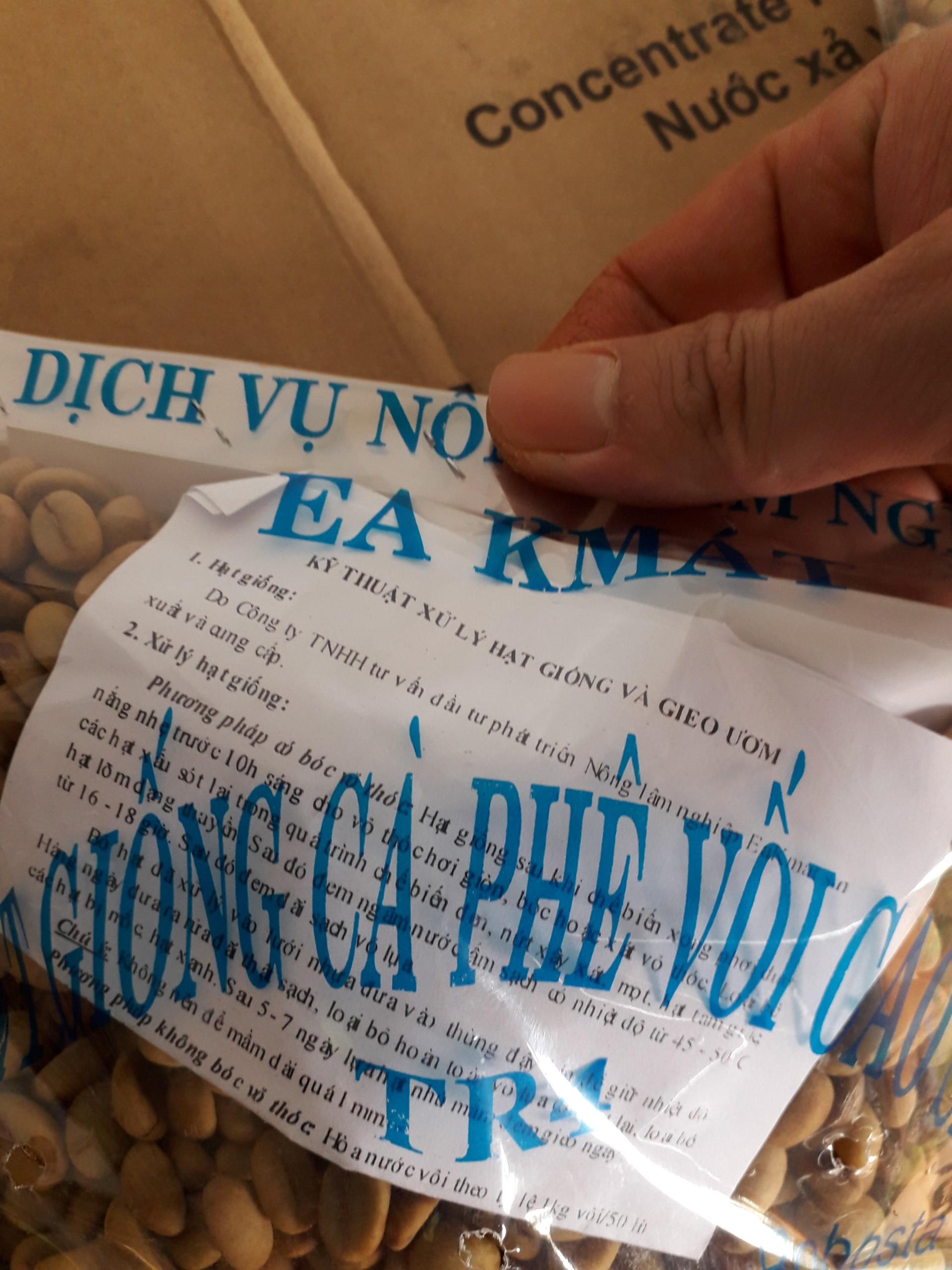 1 KG HẠT GIỐNG CÀ PHÊ VỐI CAO SẢN TR4 .