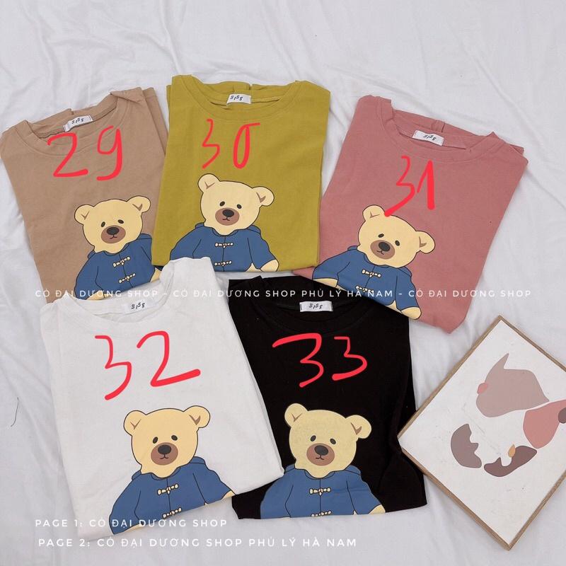 Áo pull tổng hợp