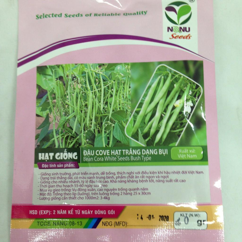 Gói 20g hạt giống đậu cove hạt trắng dạng bụi