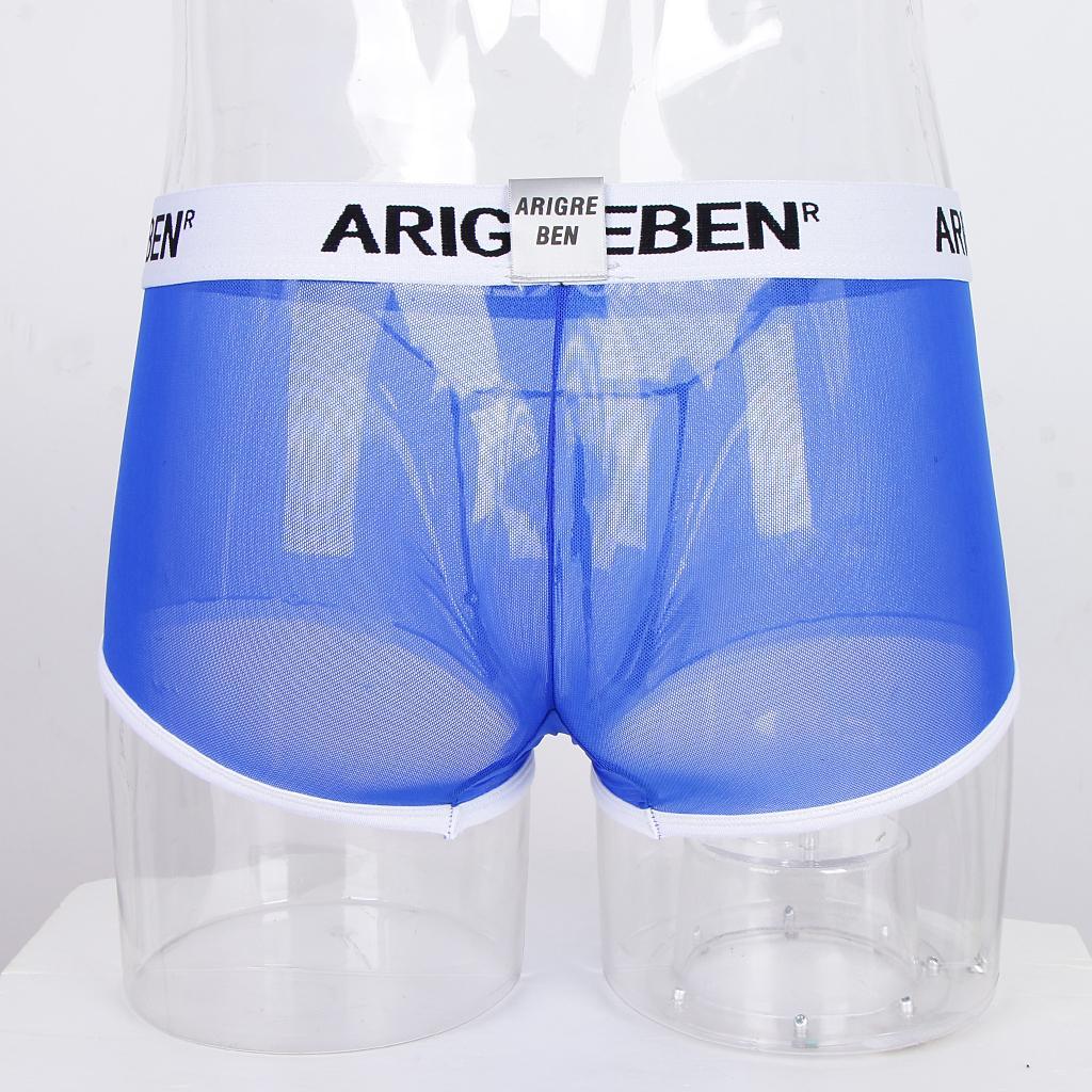 Men Mesh Underwear Thong Bikini Briefs Knickers Soft Sleepwear Swimsuit - Blue, L