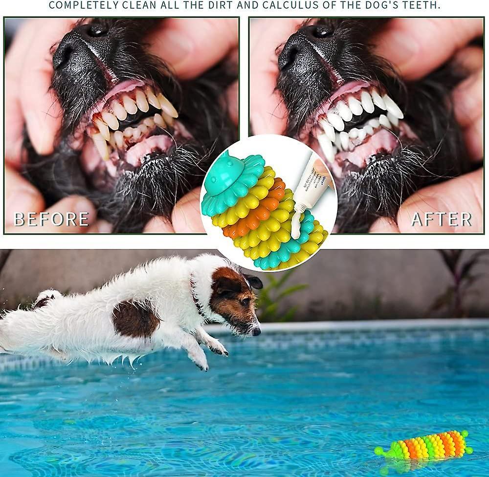 Đồ chơi cho chó Cao su tự nhiên không thể khám phá răng không thể phá hủy