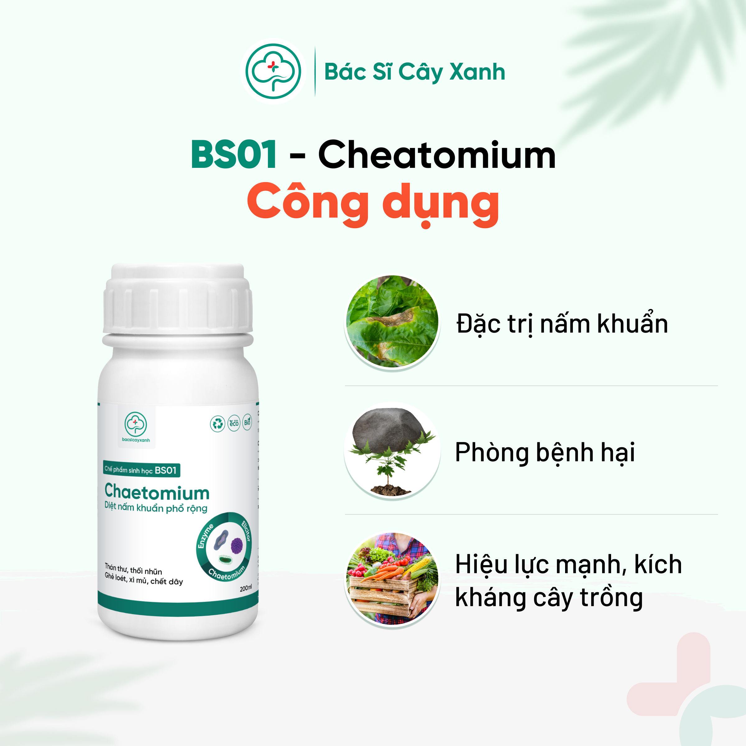 Chế phẩm trị thán thư, thối trái, héo rũ, chết cây con, phòng ngừa nấm bệnh BS01 Chaetomium 200ml NSX Bacsicayxanh