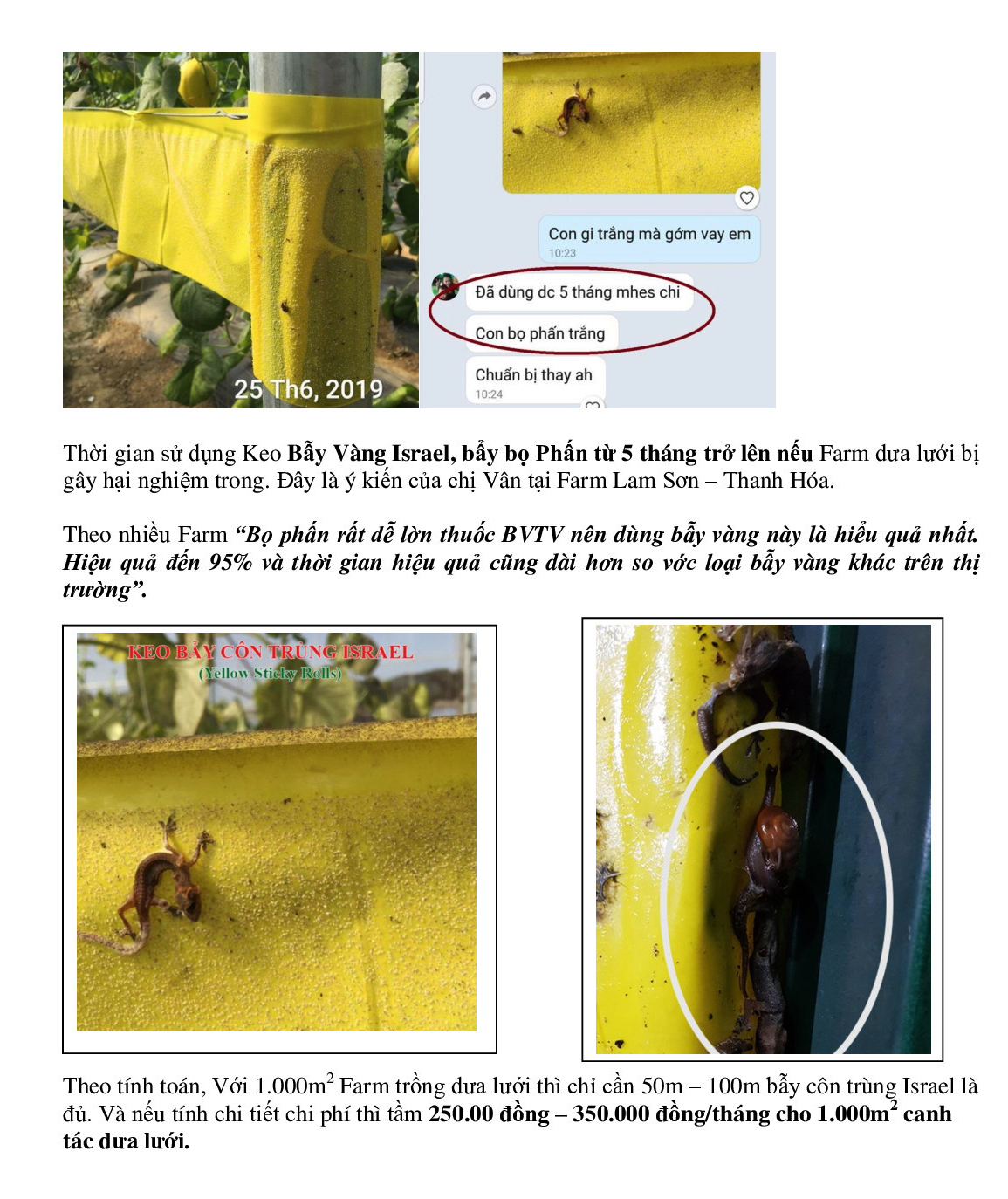 Bẫy Bọ Phấn Trắng gây hại dưa lưới đạt hiệu quả 90% và bẫy côn trùng khác bằng Cuộn Keo Dính Màu Vàng Israel (Combo 20 mét). Sticky Yellow Roll dùng trong ngành nông nghiệp sạch, hạn chế thuốc Bảo Vệ Thực Vật