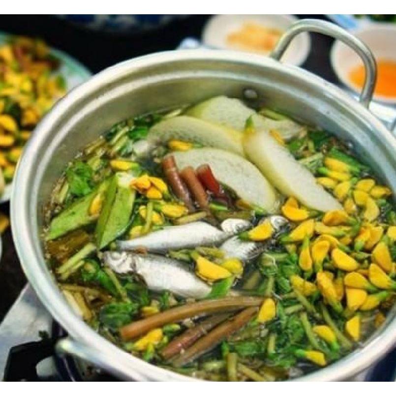 Hạt giống bông điên điển vàng- gói 10 hạt/tặng kèm gói phân bón lót