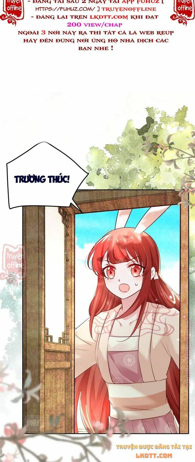 hắc hóa nam chính trực tuyến nuôi thỏ chapter 48 2