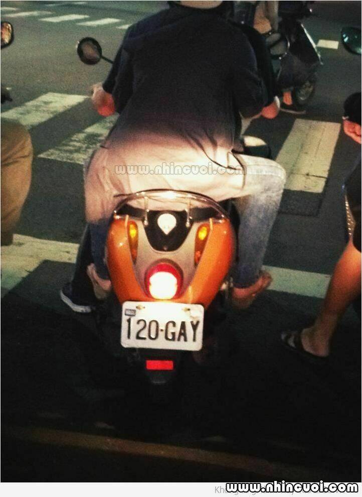 hình ảnh hài hước new chapter 11 3