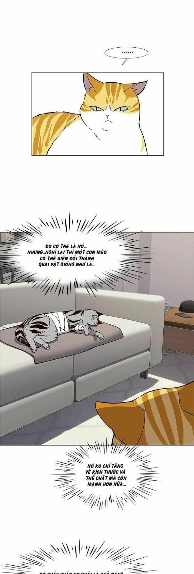 biến thân thành mèo chapter 4 11