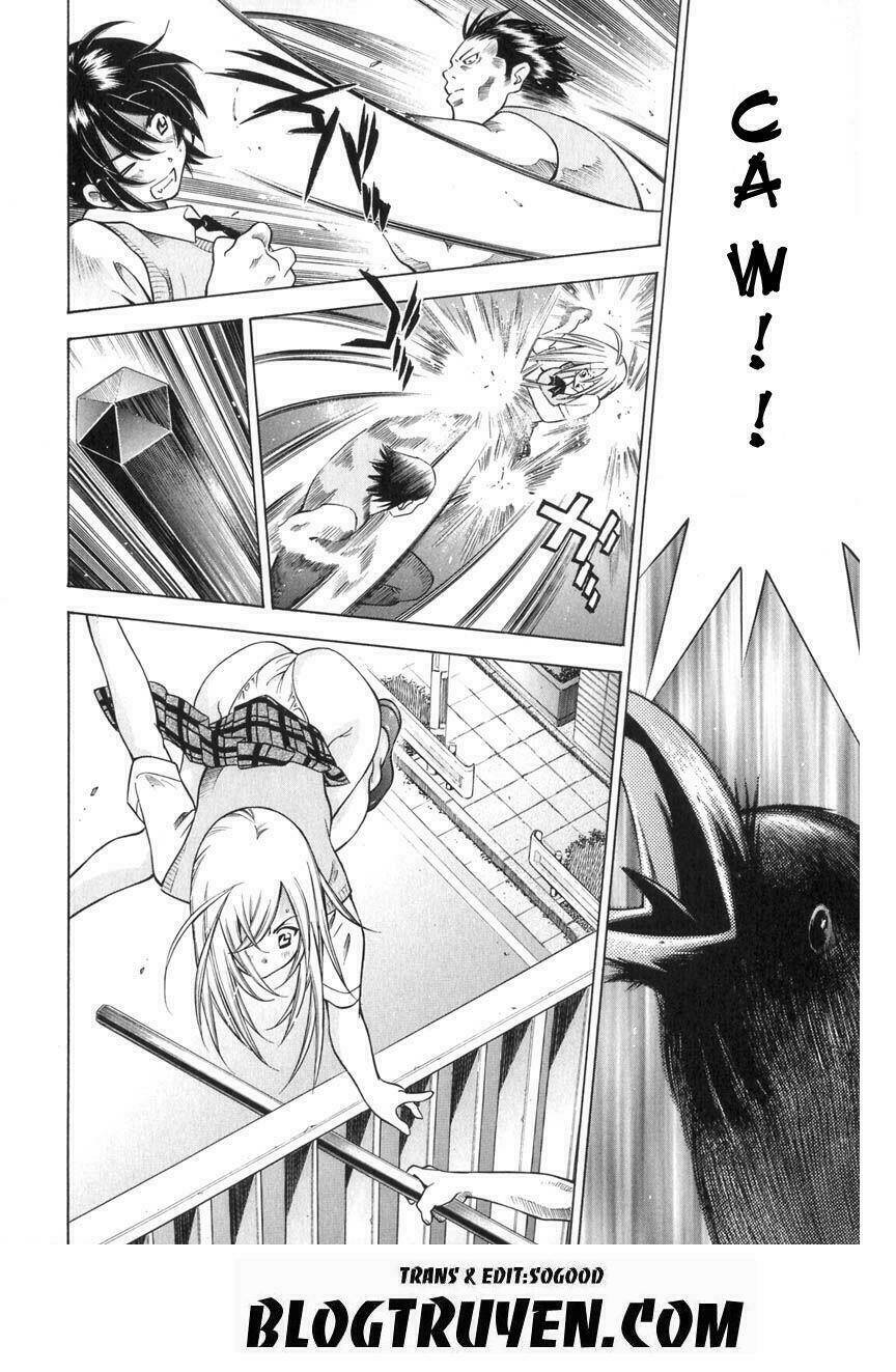 dragon girl - ikkitousen chapter 52 12