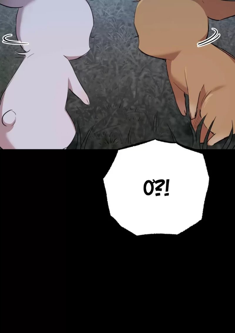 những chú thỏ của hapypy chapter 31.5 41