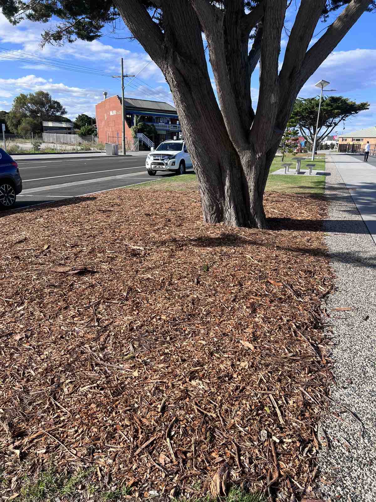 *** Wood chip, chip mulch - tổng kho mảnh gỗ mùn rải sân vườn