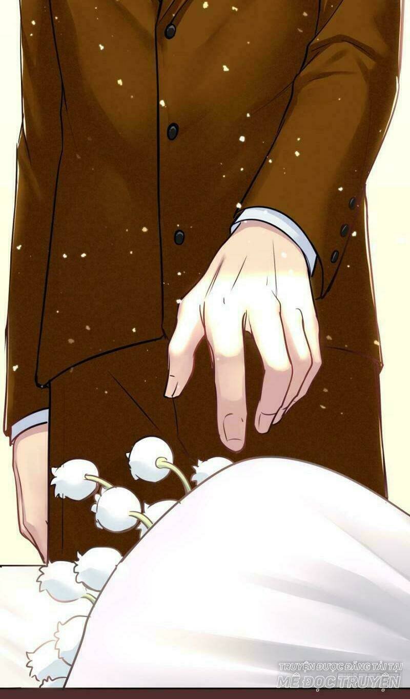 mộ thiếu, lão bà ngươi trọng sinh lại rồi! chapter 4 24