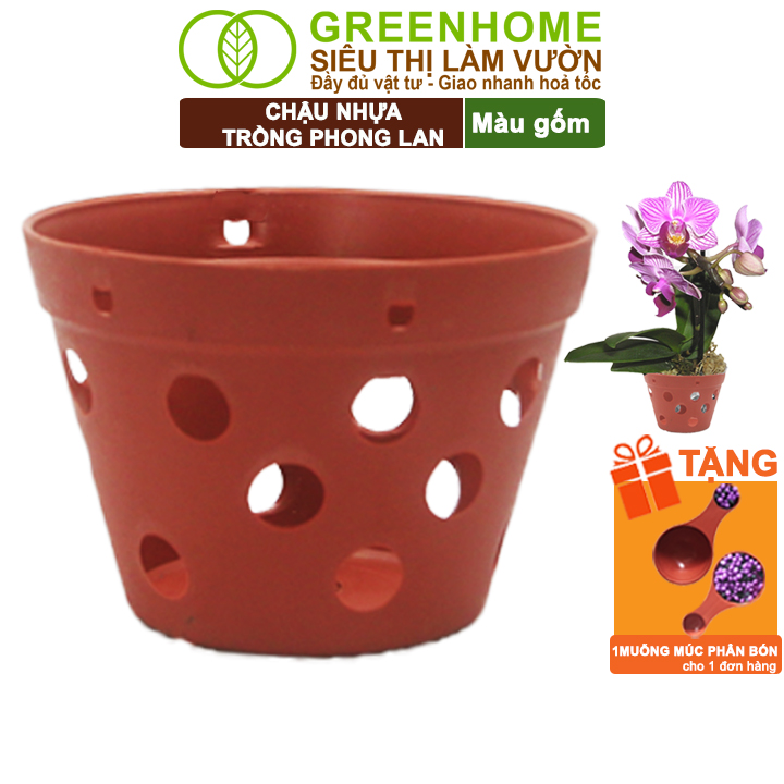 Hình ảnh Chậu Trồng Lan Greenhome, R15xC10cm, Nhựa Màu Gốm, Bền, Đẹp, Chống Rơi Vỡ, Thoáng Rễ, Giá Thành Tốt