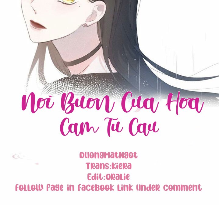nỗi buồn của hoa cẩm tú cầu chapter 24 21