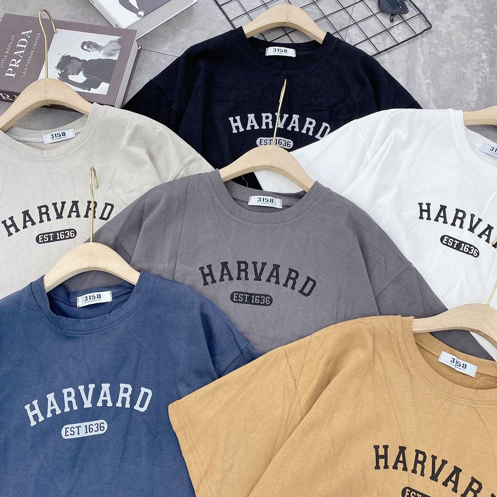 Áo thun 3158 chữ Harvard chất cotton khô mềm mịn dày dặn