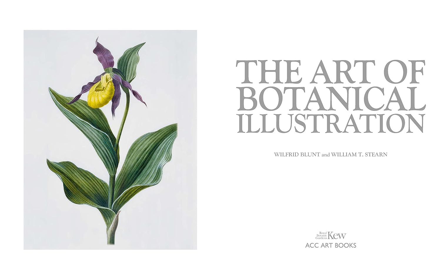 Artbook - Sách Tiếng Anh - The Art of Botanical Illustration