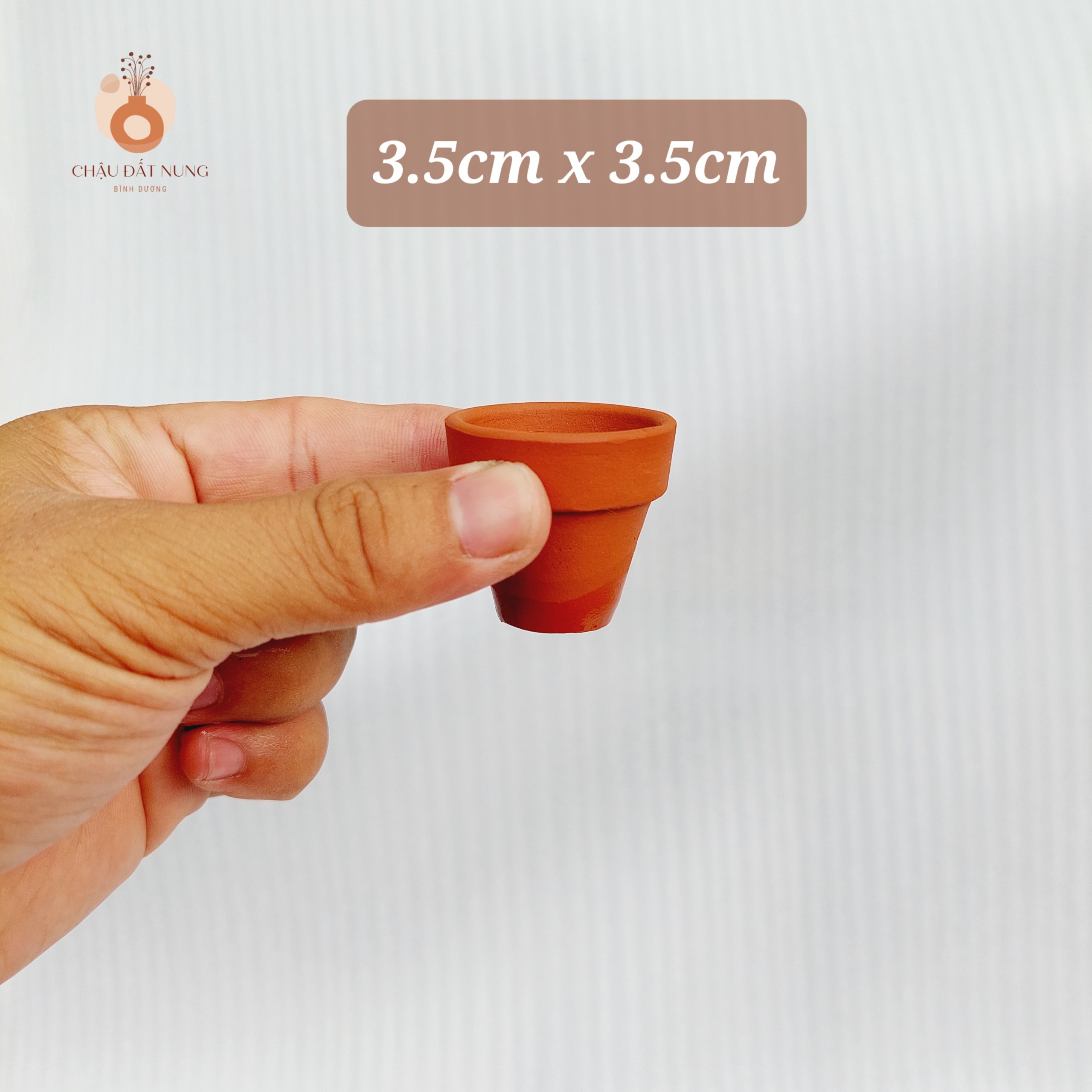 Chậu đất nung Bình Dương - Ly gờ, miệng chậu 3.5cm, chiều cao 3.5cm