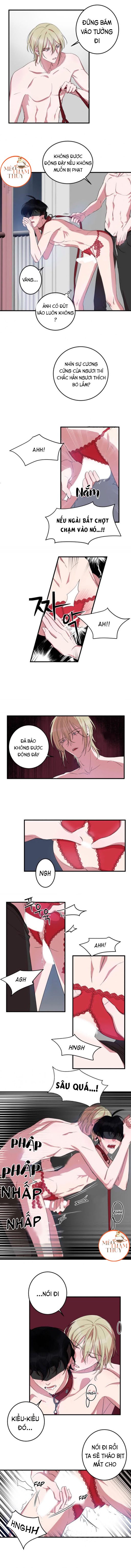 khẩu vị và sự tôn thờ của người yêu tôi chapter 7 5