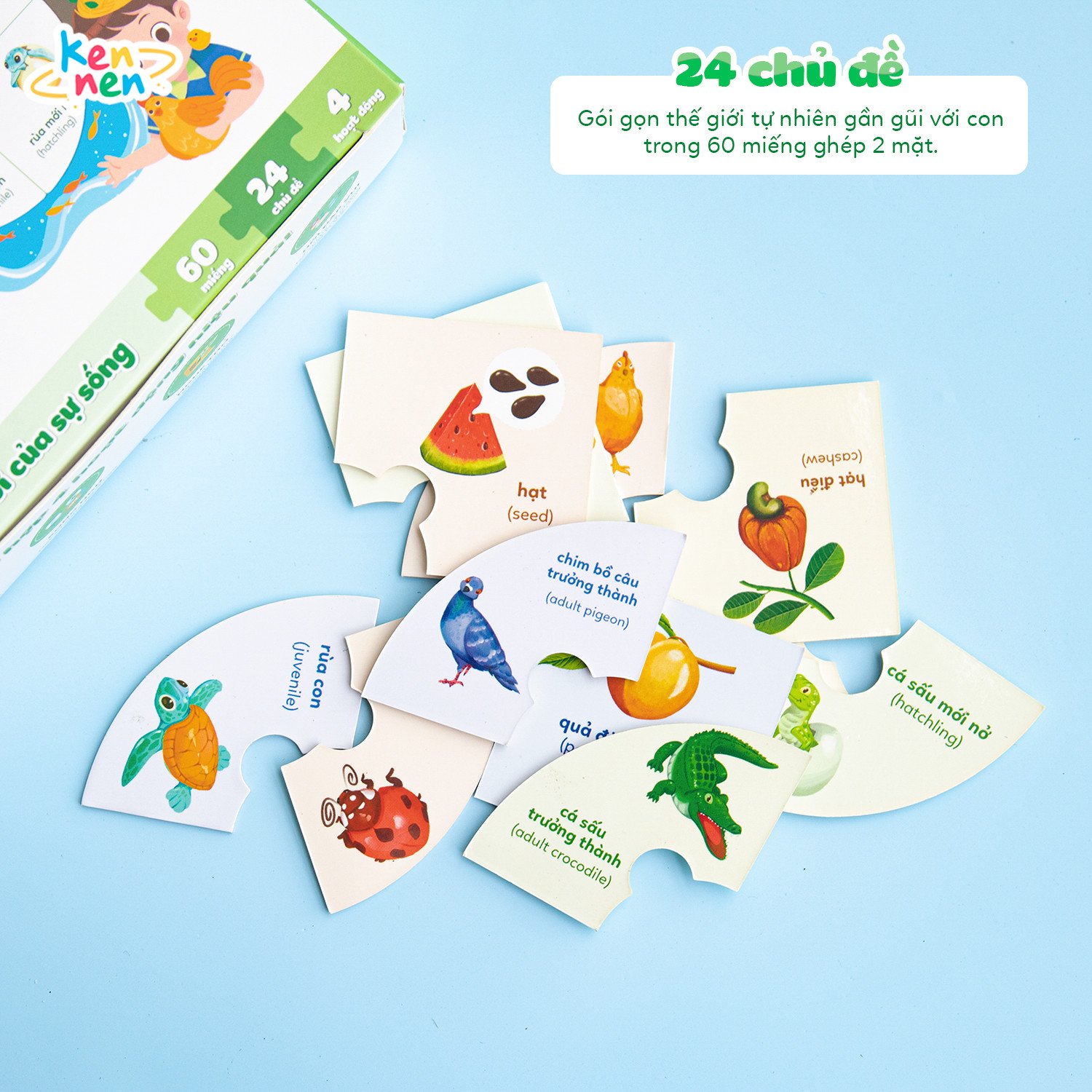 Kennen Match it - Puzzle học chữ và đánh vần Tiếng Việt 5in1 và học các Kỹ năng sống, Vòng đời của sự sống - Dành cho bé từ 3 tuổi