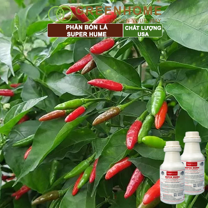 Phân bón lá Super Hume, chai 250ml, cải tạo đất, kích thích rễ, đâm chồi, đẻ nhánh khoẻ| Greenhome