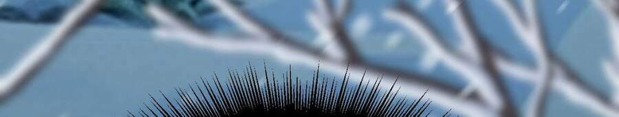 sức mạnh của kiếm thần chapter 16 23