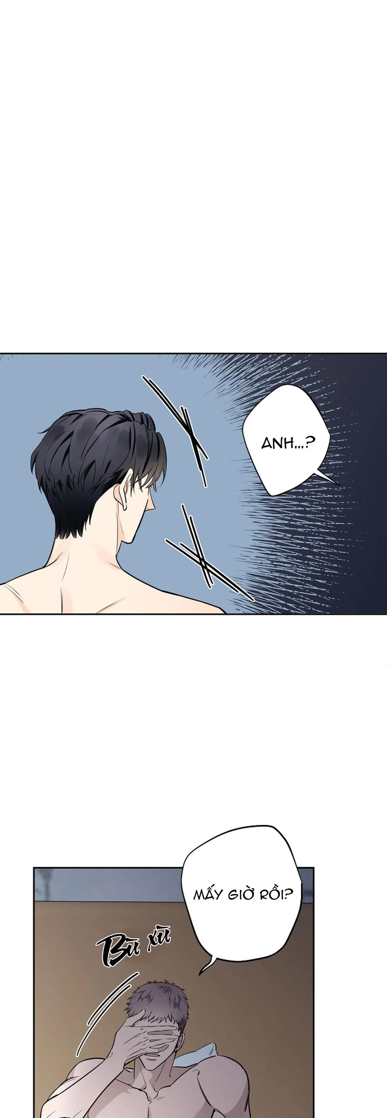 đêm dịu dàng chapter 32 16