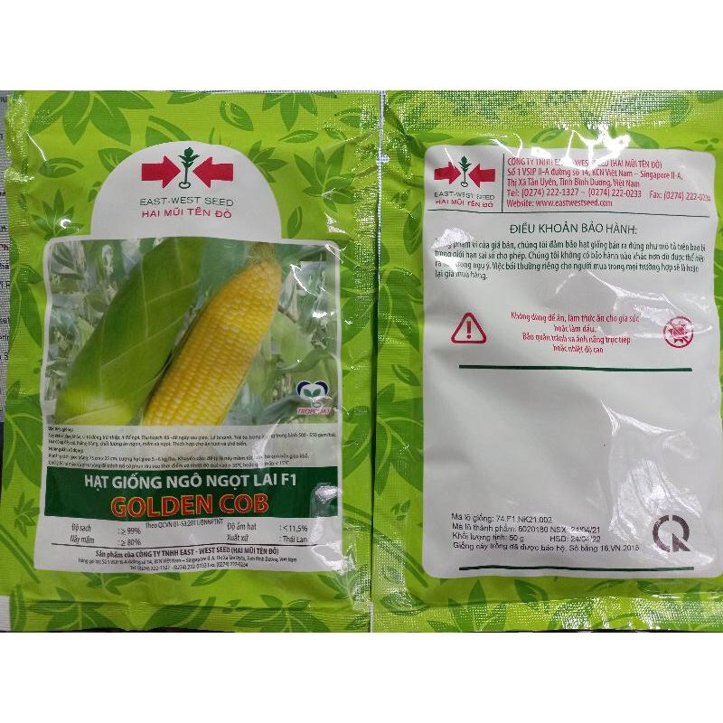 Hạt giống ngô ngọt - Bắp mỹ, bắp ngọt to, dễ trồng, 50g