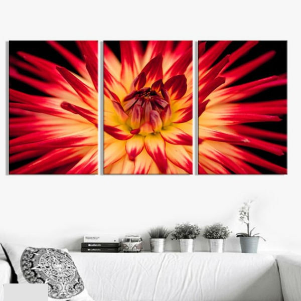 Bộ 3 Tranh Canvas Viền Composite Trang Trí "Hoa Đỏ" W301