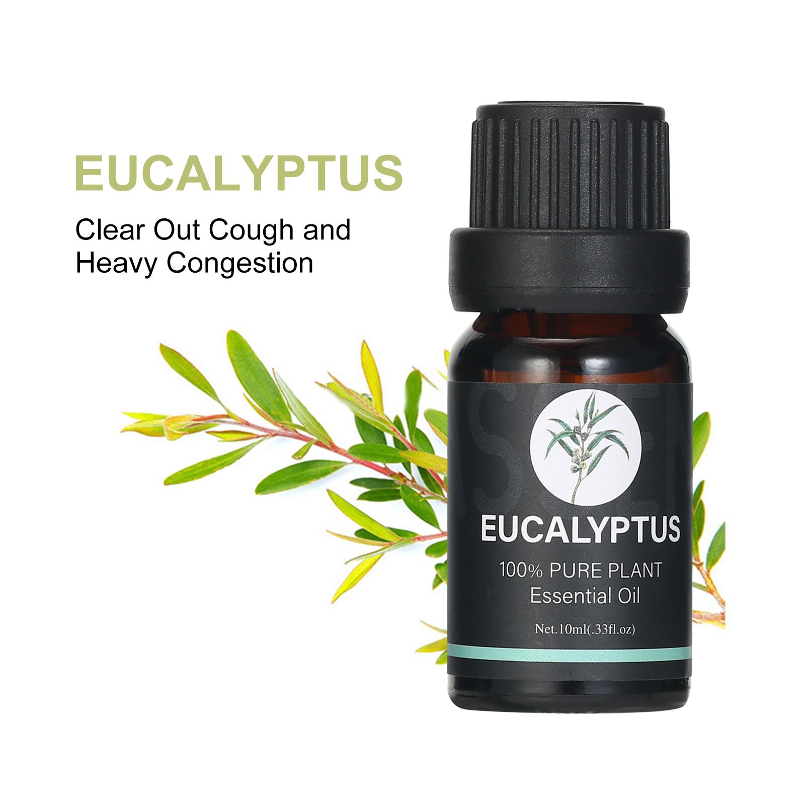 Bộ 6 chai Tinh dầu Thực vật Tự nhiên 10ml để xông không khí, giảm căng thẳng, thư giãn