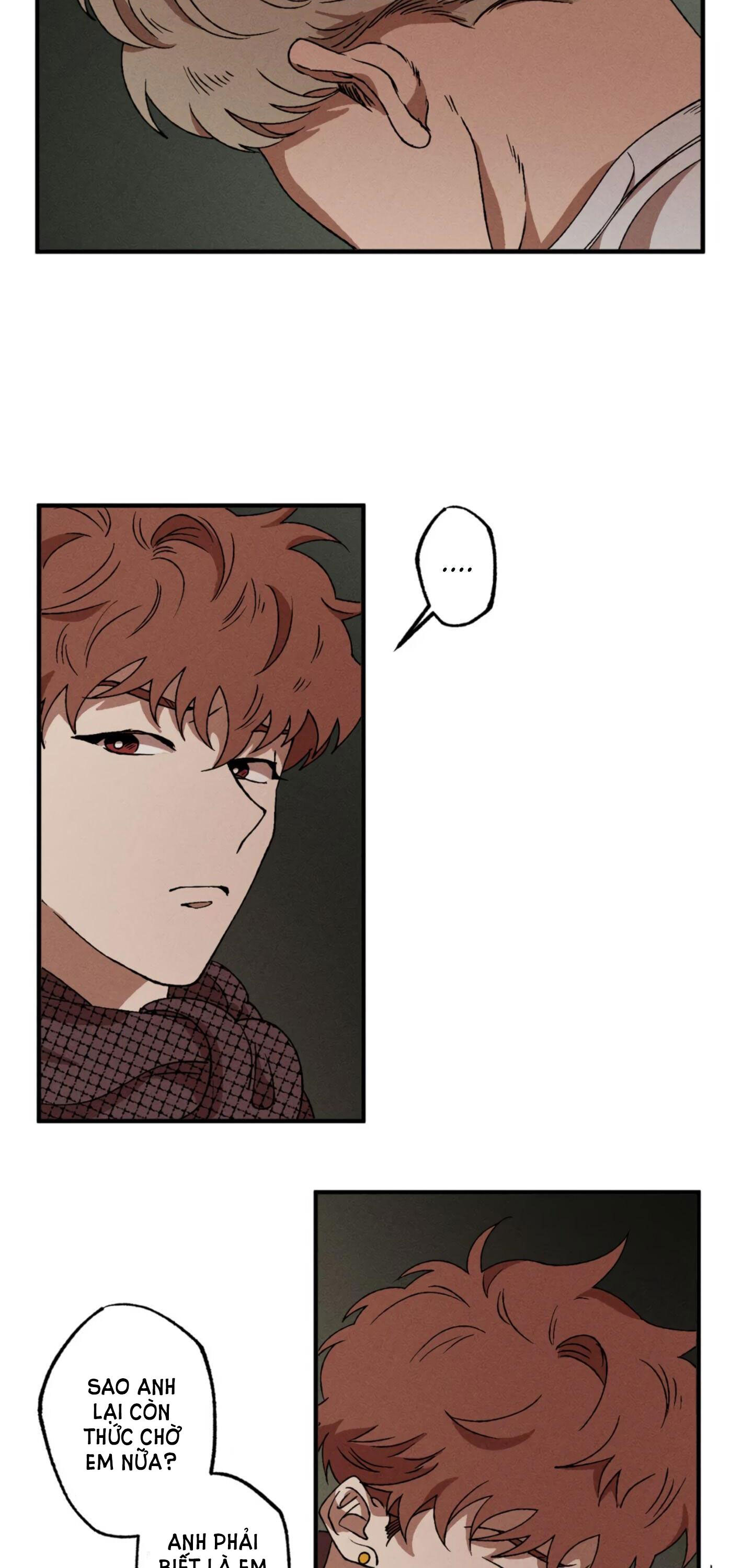 bẫy kép chapter 23.1 6