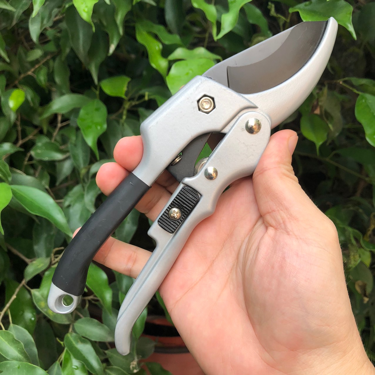Kéo cắt cành cộng lực sk5 của Nhật