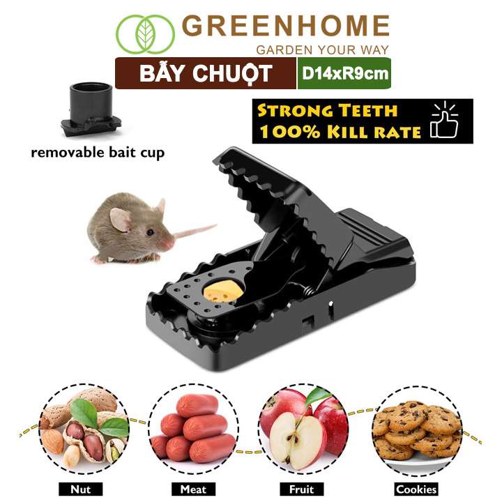 Bẫy Chuột Thông Minh Greenhome, D14xr9cm, Lò Xo Độ Nhạy Cao, Lực Gấp Mạnh, Dễ Dùng, Hiệu Quả Cao, Tái Sử Dụng Nhiều Lần