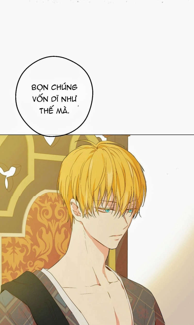 bỗng một ngày nọ tôi trở thành nàng công chúa chapter 112 34