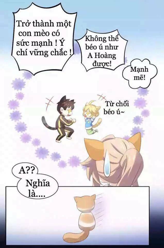 dưới móng vuốt mèo chapter 11 46