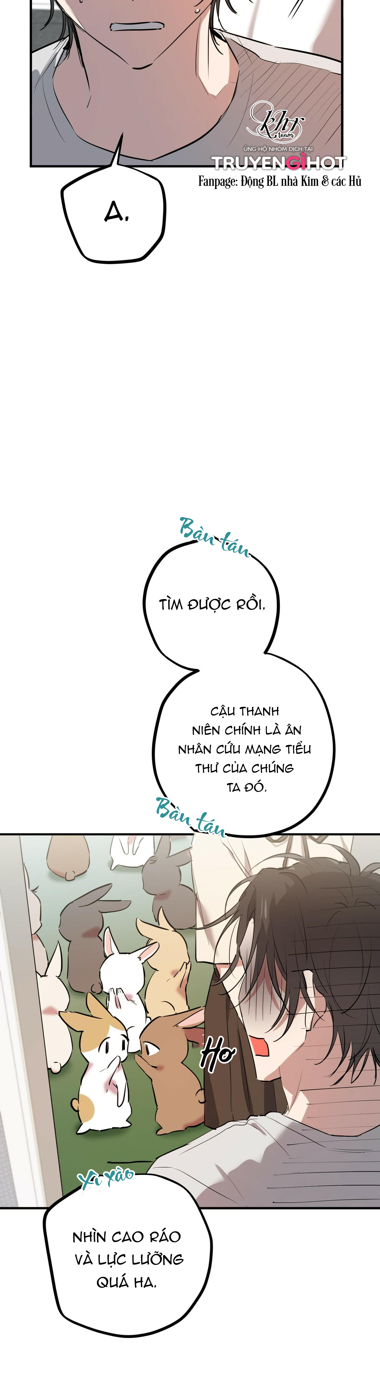 những chú thỏ của hapypy chapter 39 39