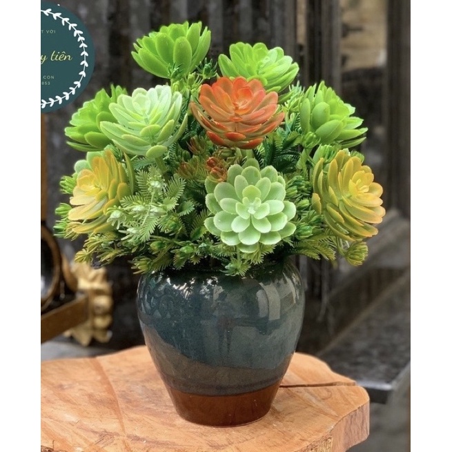 Cụm hoa sen đá giả, sen đá nhựa cắm điểm decor siêu đẹp