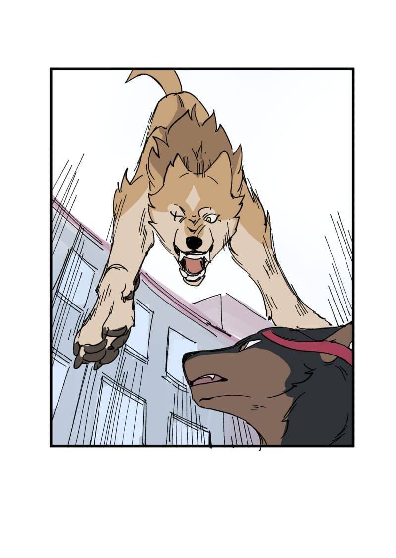 lumine - cội nguồn ánh sáng chapter 152 33